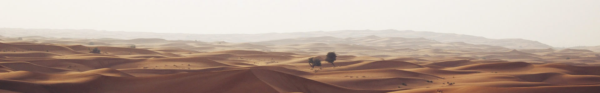 ɶʱƼ޹˾